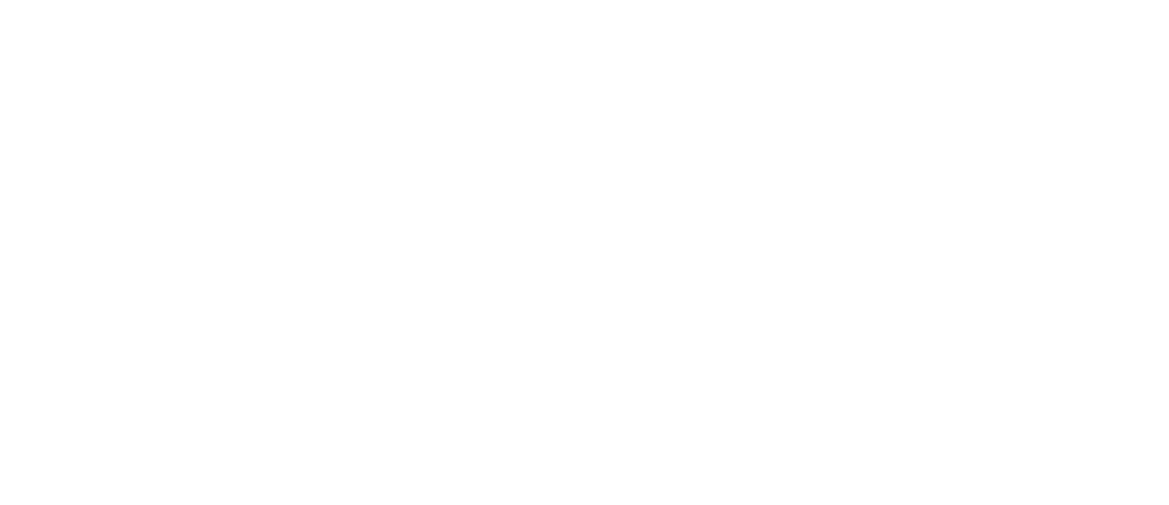 Sport Horizon Holding logo